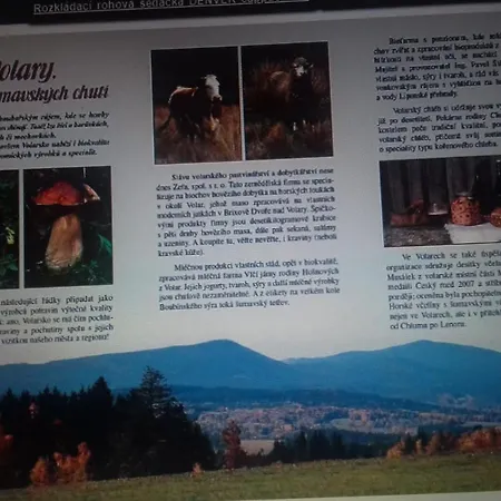 apartmán U parku Volary Esterno foto