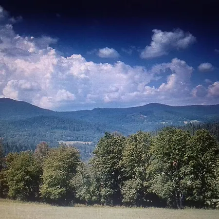 apartmán U parku Volary Esterno foto