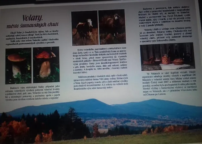 Apartman U Parku